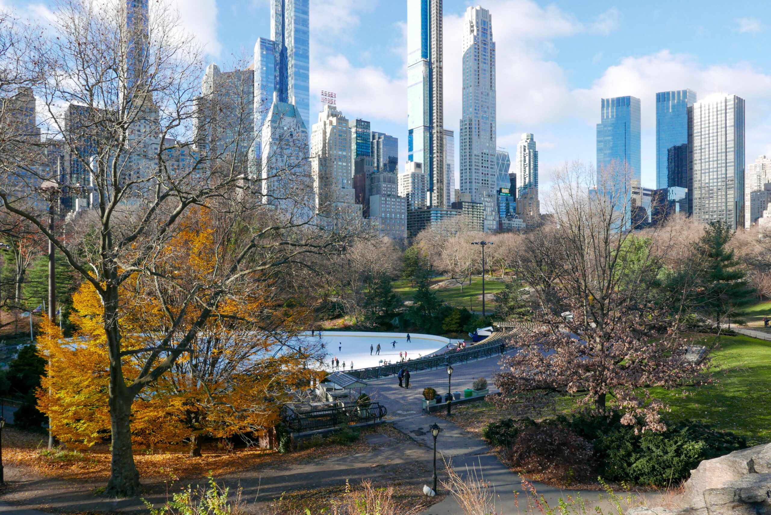Central Park skating rink framed by autumn trees