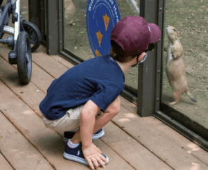 Children’s Zoo, Bronx Zoo