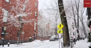 New-York-in-January-Attractions