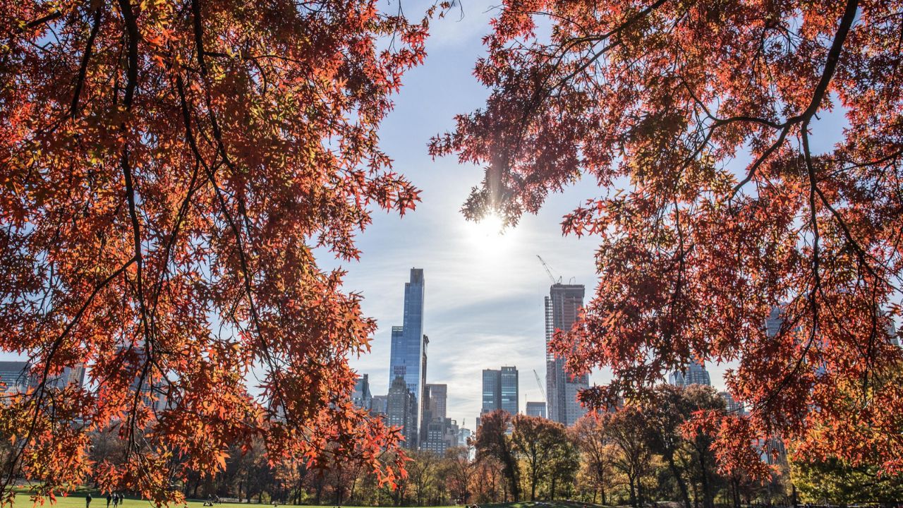 things-to-do-in-bryant-park-nyc