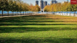 what-to-do-in-roosevelt-island