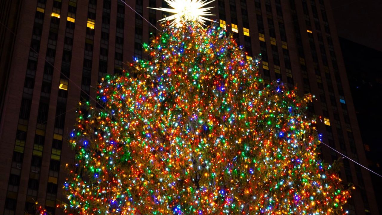 things-to-do-in-new-york-at-christmas-time-students