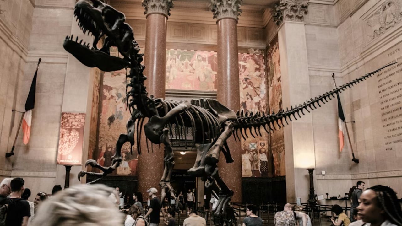 best-group-activities-nyc-school-field-trips