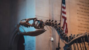 American Museum of Natural History, Central Park West, New York, NY, USA