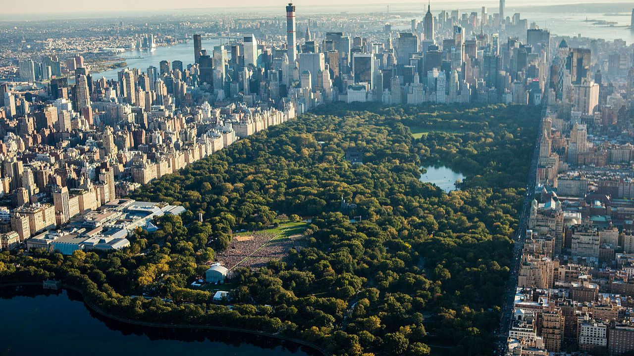 What are the must-see attractions among the things to do in Central Park