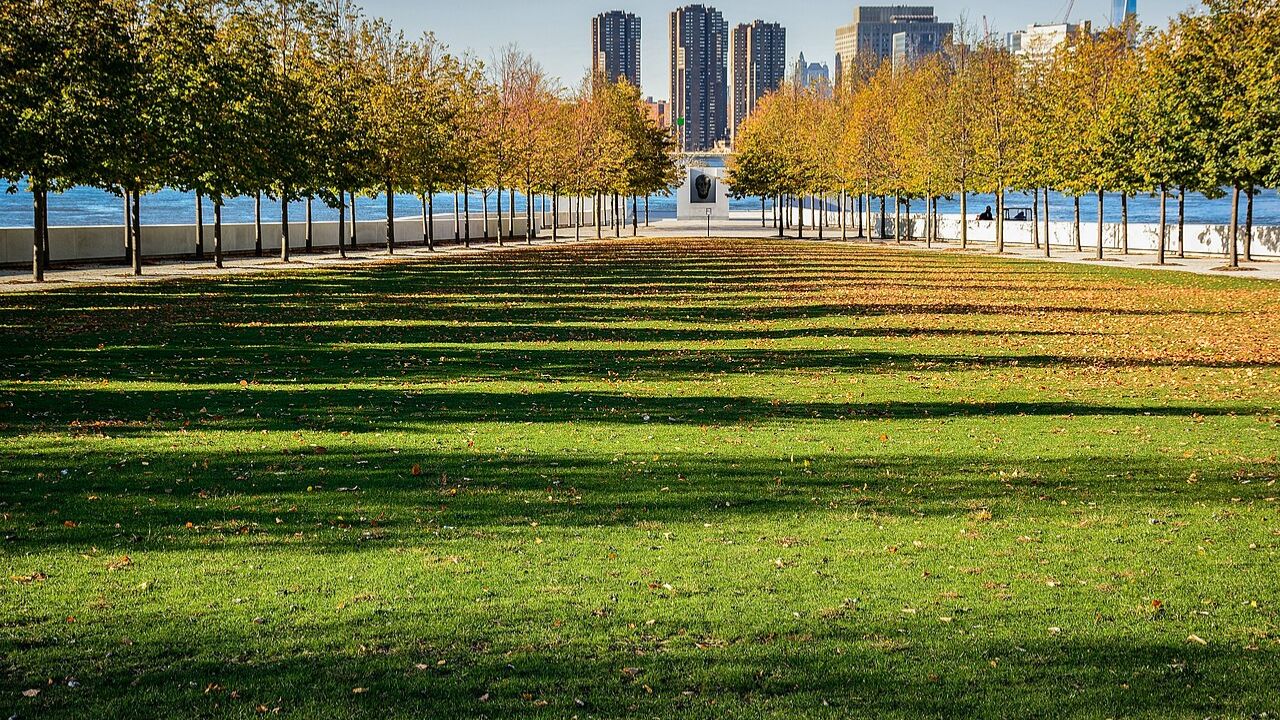 Tree-lined path at Roosevelt Four Freedoms Park in autumn. 