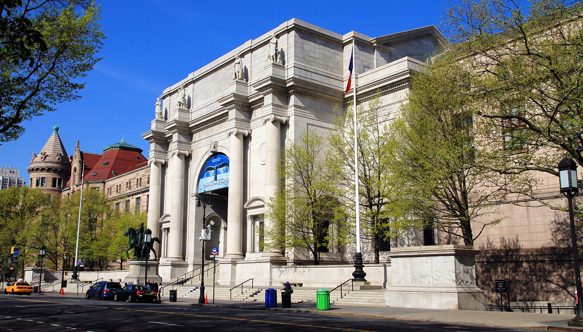 How Do You Plan a School Field Trip to the Museum of Natural History in NYC