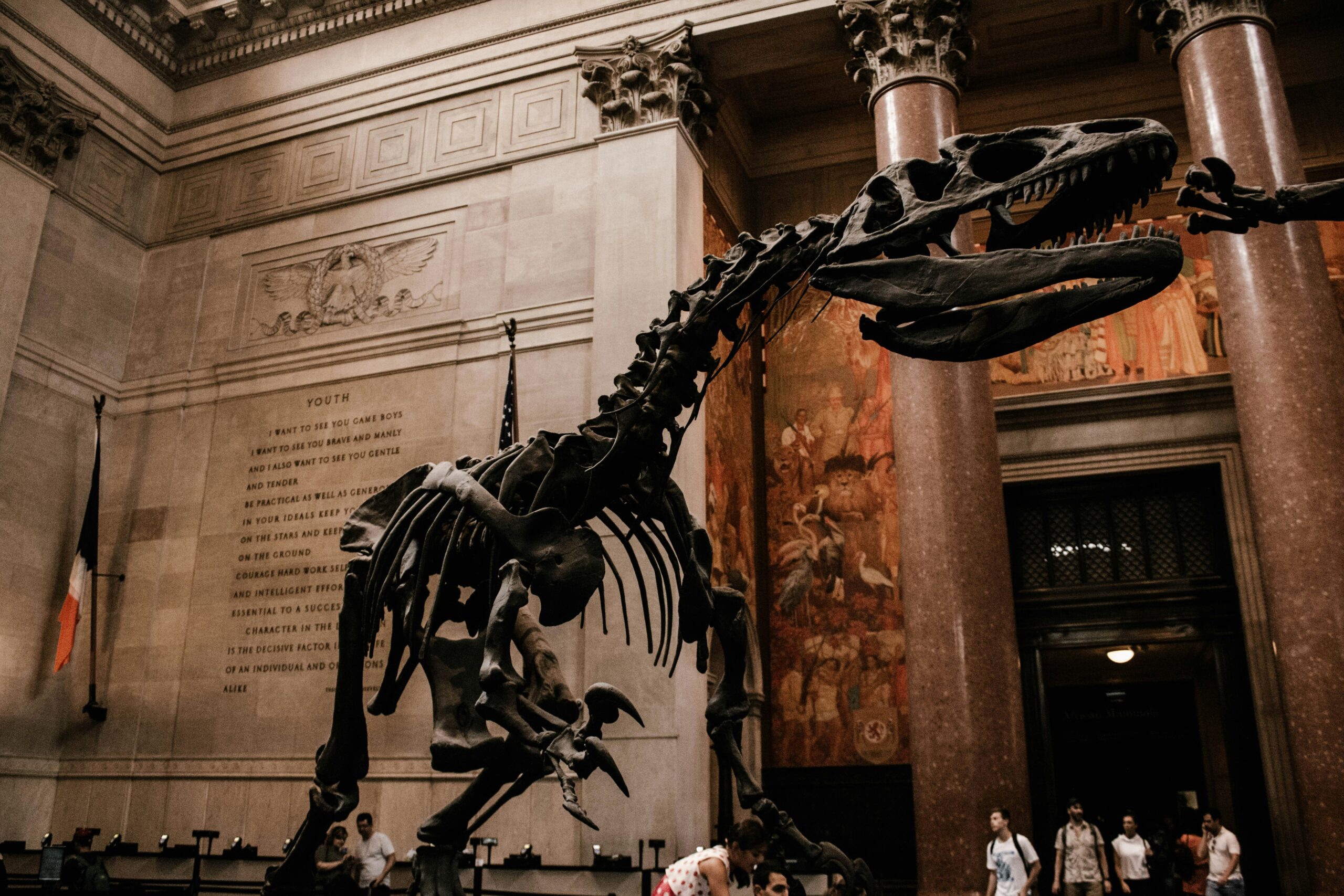 Tyrannosaurus rex skeleton in NYC museum rotunda hall.