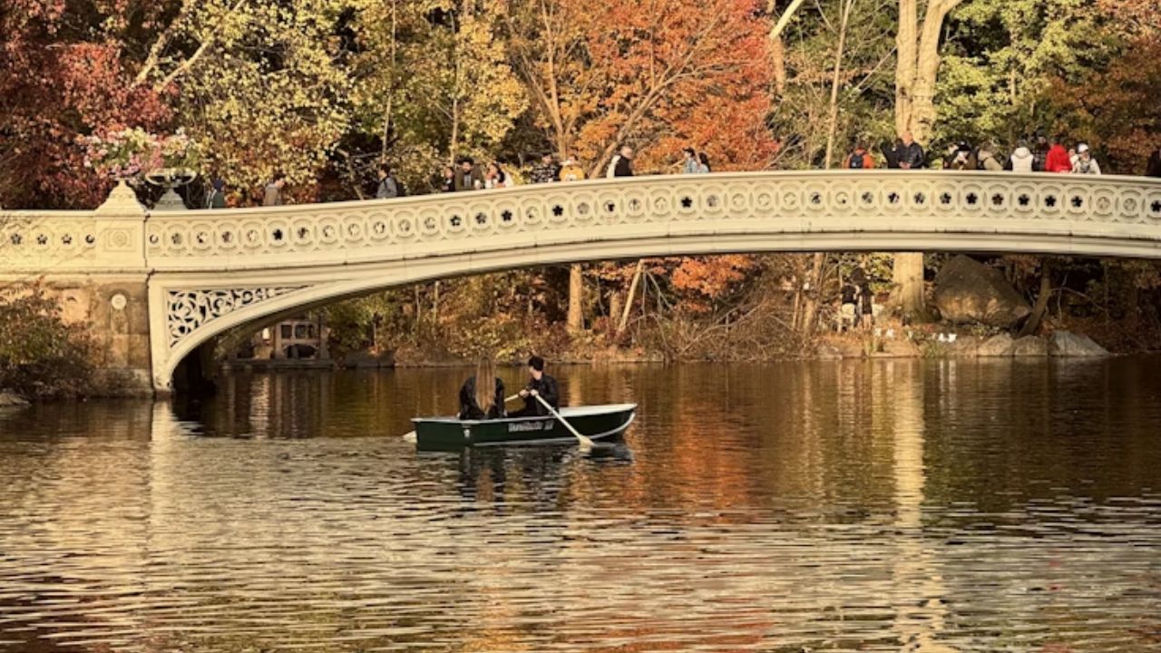 Bow Bridge in Central Park with autumn foliage. 
