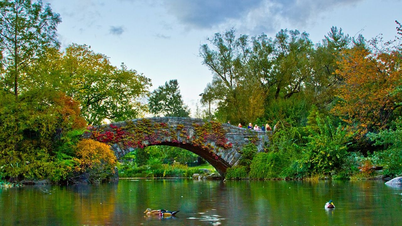 Gapstow Bridge in Central Park with autumn foliage. 