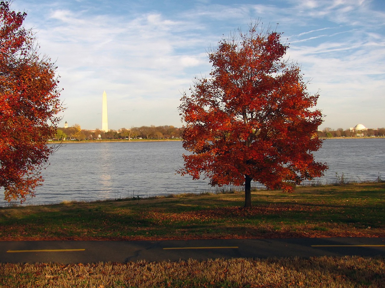 Red autumn tree by Tidal Basin with Washington Monument.