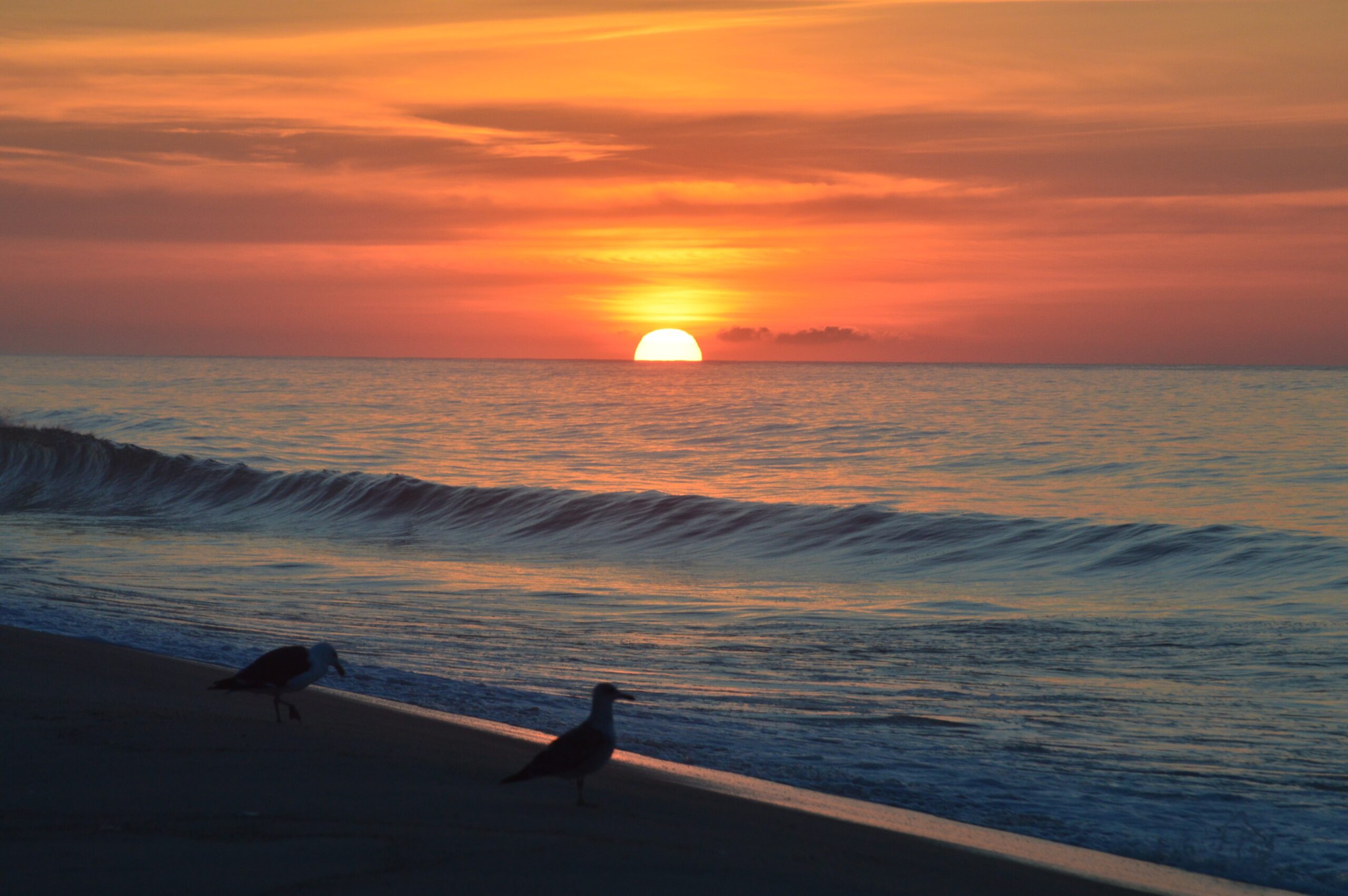 Sun setting over ocean waves with two seagulls