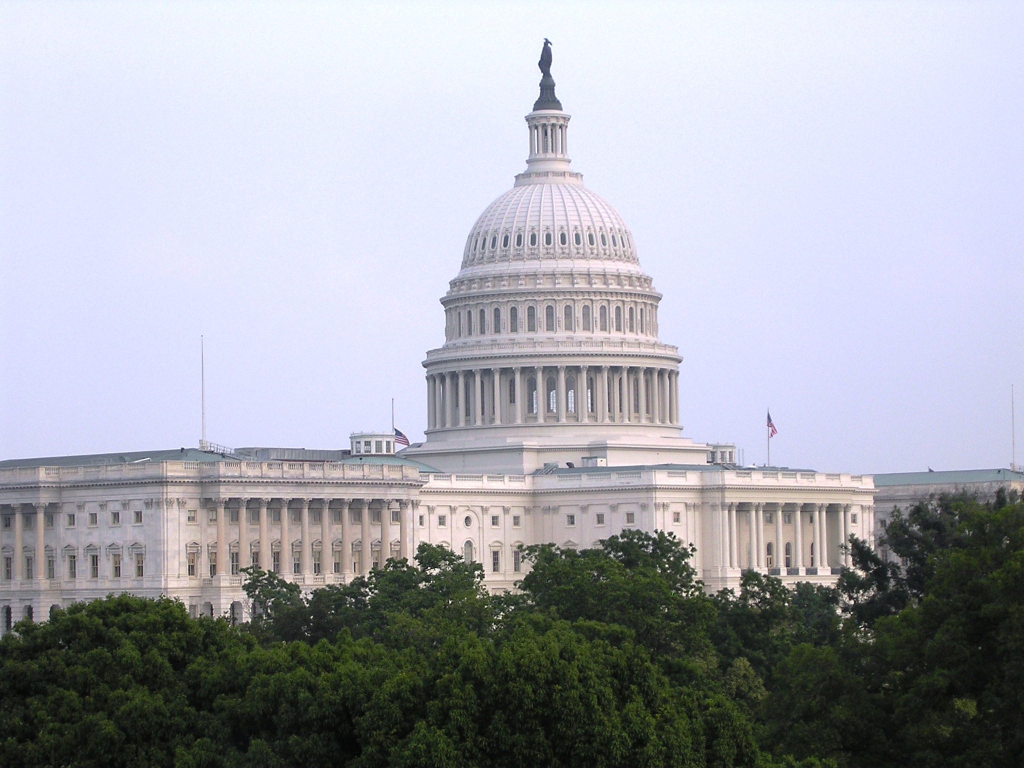 U.S. Capitol dome rising above surrounding green trees