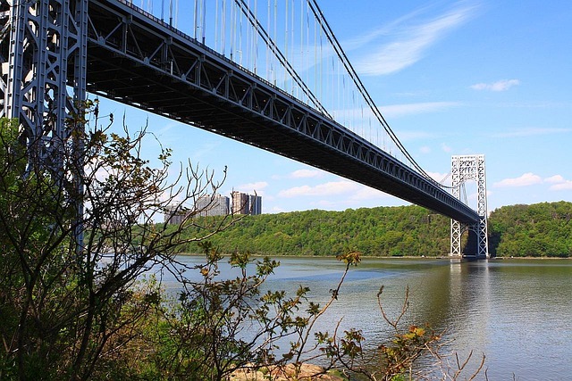 Suspension bridge spans river, viewed from wooded shoreline of NYC