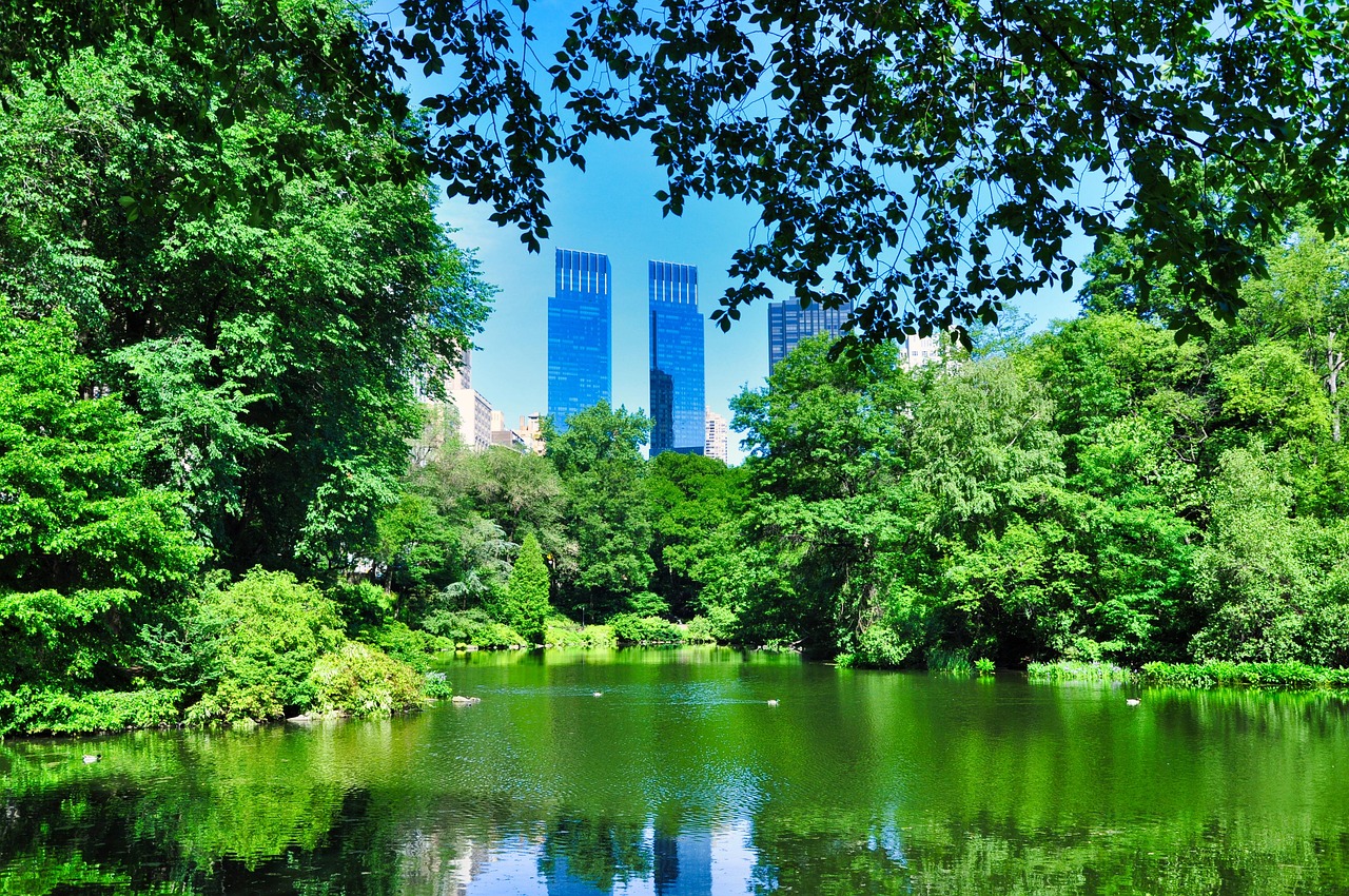 Skyscrapers rising above Central Park's green trees
